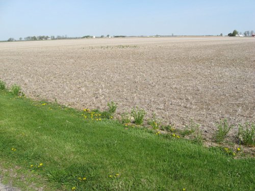 Property photo 9 - 172 Acres Offered in 3 Tracts - Prime Farmland
